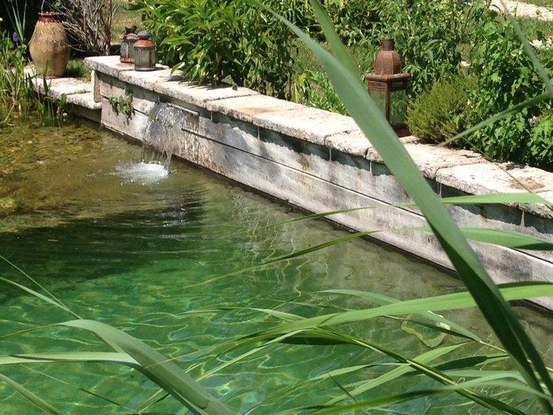 La baignade naturelle