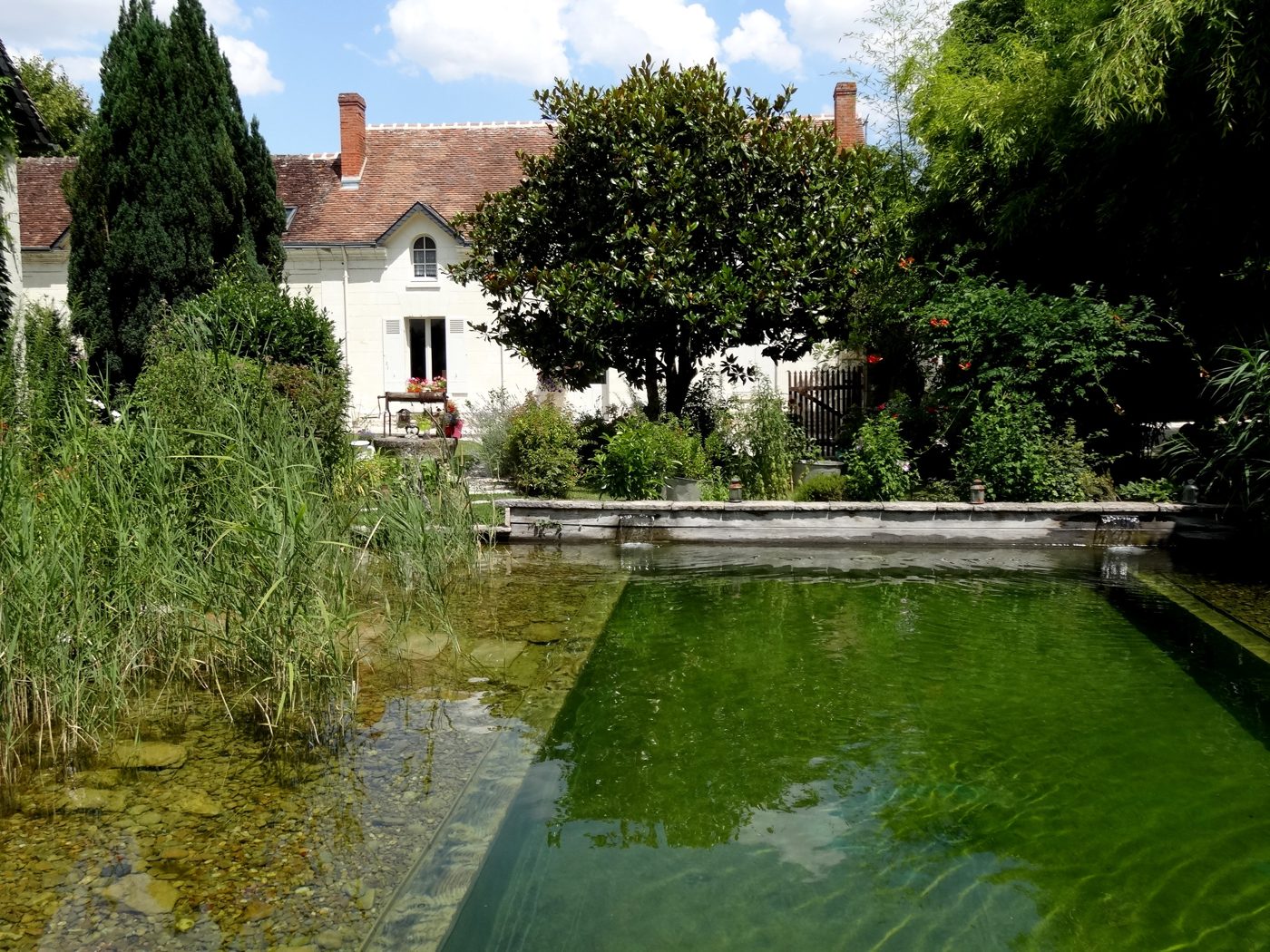 La baignade naturelle